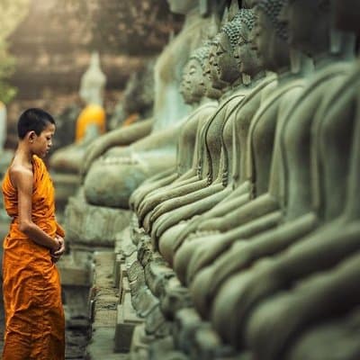 Private tour to Ayutthaya and Lopburi Monkey Temple (from Bangkok) 3