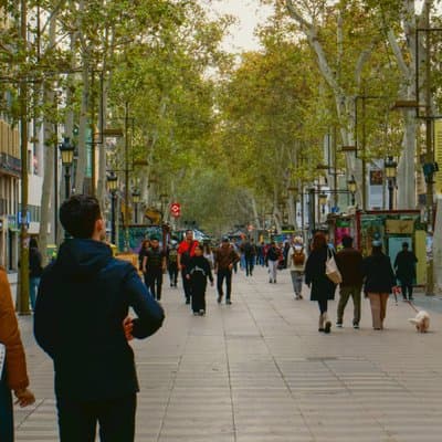 Private Barcelona Highlights Guided Tour with La Sagrada Familia 4