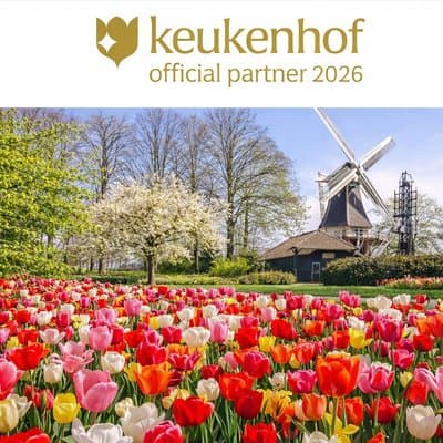 Amsterdam: Keukenhof Entry & Shuttle Bus with Flexible Return