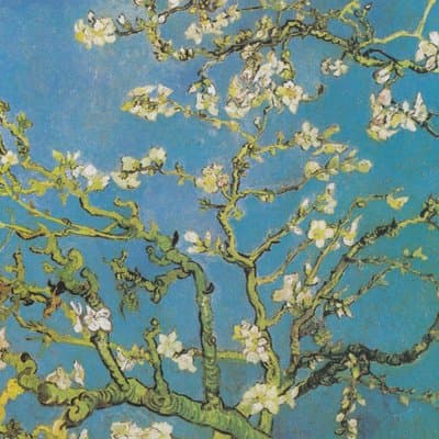 Amsterdam Van Gogh Museum Guided Or Multimedia Tour 5