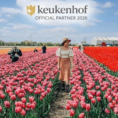 Amsterdam: Day trip to Tulip Farm, Keukenhof + Windmill Cruise