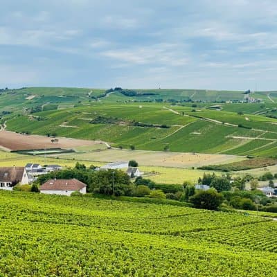 Paris Wine Day Tours exclusive Champagne tour incl. 3 visits