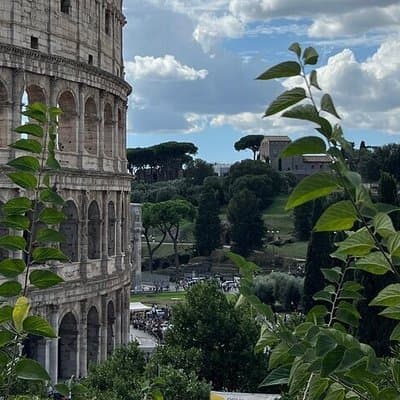Dream Tour Guided tour of the Colosseum (semi-private) 3