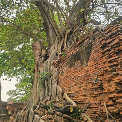 Private Tour to Ayutthaya, World Heritage Site with Boat Tour 4