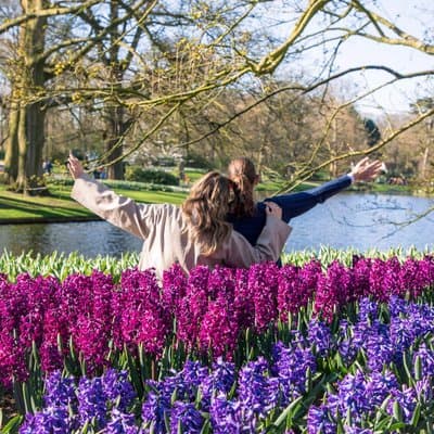 From Amsterdam: Keukenhof Ticket, Transfer & Live Guide Option 4