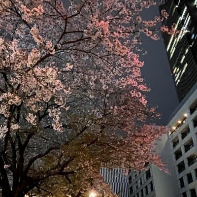 2-Hour Tokyo Night Bike Tour: Shibuya, City Lights & Tokyo Tower 4