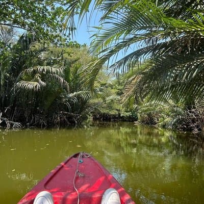 Cycling and Kayaking with great Ozone in Bangkok 5
