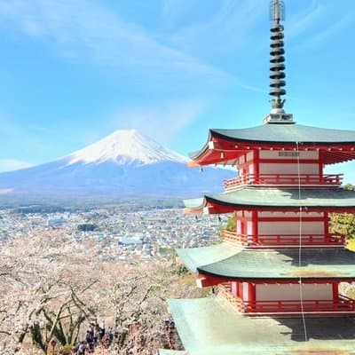 Private Tour of Mount Fuji with English speaking driver 4