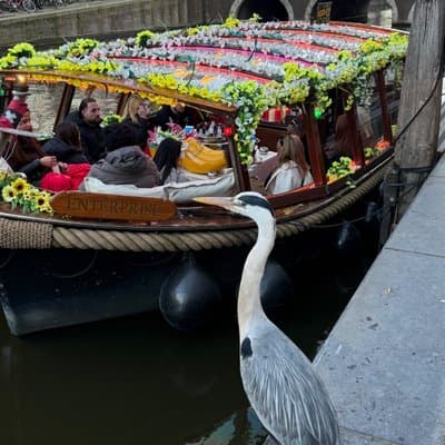 Amsterdam Luxury Boutique Boat tour with Unlimited Beer and Wine 2