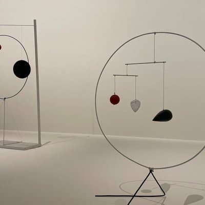 Fondation Louis Vuitton (Alexandre Calder) Private Tour 4
