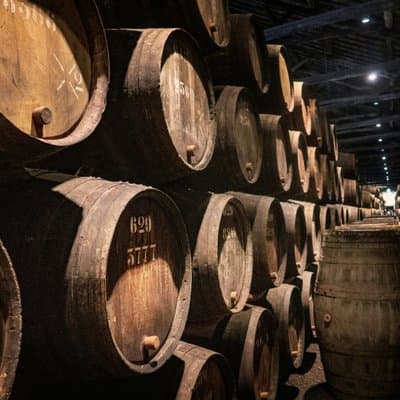 From Lisbon: Porto Private Day Tour with Wine or Boat Option 5