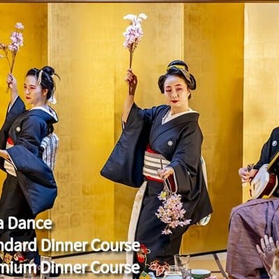 TOKYO:Traditional Geisha Show&(Japanease Dinner or tea ceremony) 3