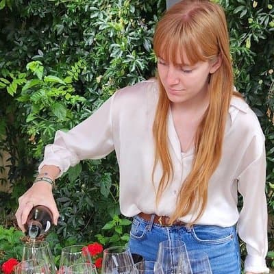 Private Sancerre vineyards & cellars tour from Paris + Sommelier