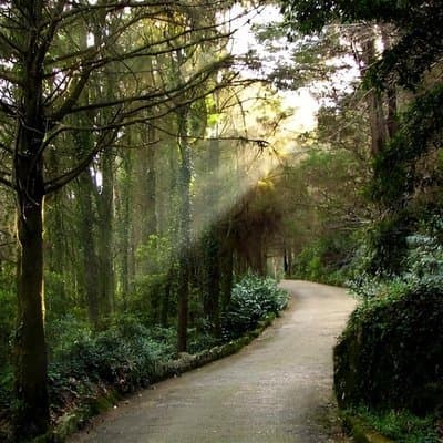 Lisbon Sightseeing & Sintra Village Full Day Private Tour 4